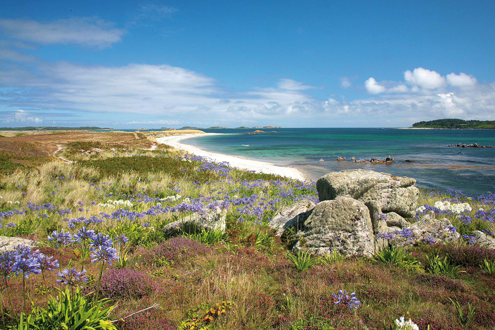 Tipp England Island Tipp England Island