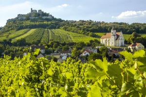 Weinviertel neu entdecken